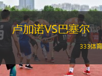 盧加諾VS巴塞爾