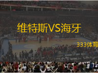 維特斯VS海牙